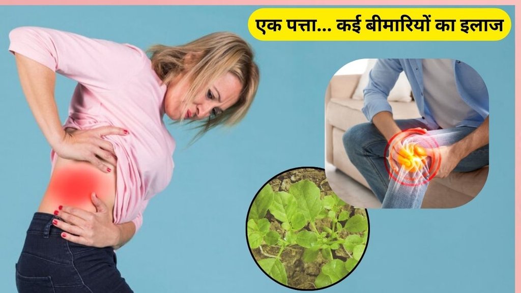 winter health tips