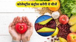 हाई कोलेस्ट्रॉल नहीं हो रहा कंट्रोल तो इन 5 चीजों का कर लें सेवन, शरीर से एक्स्ट्रा चर्बी भी जाएगी पिघल