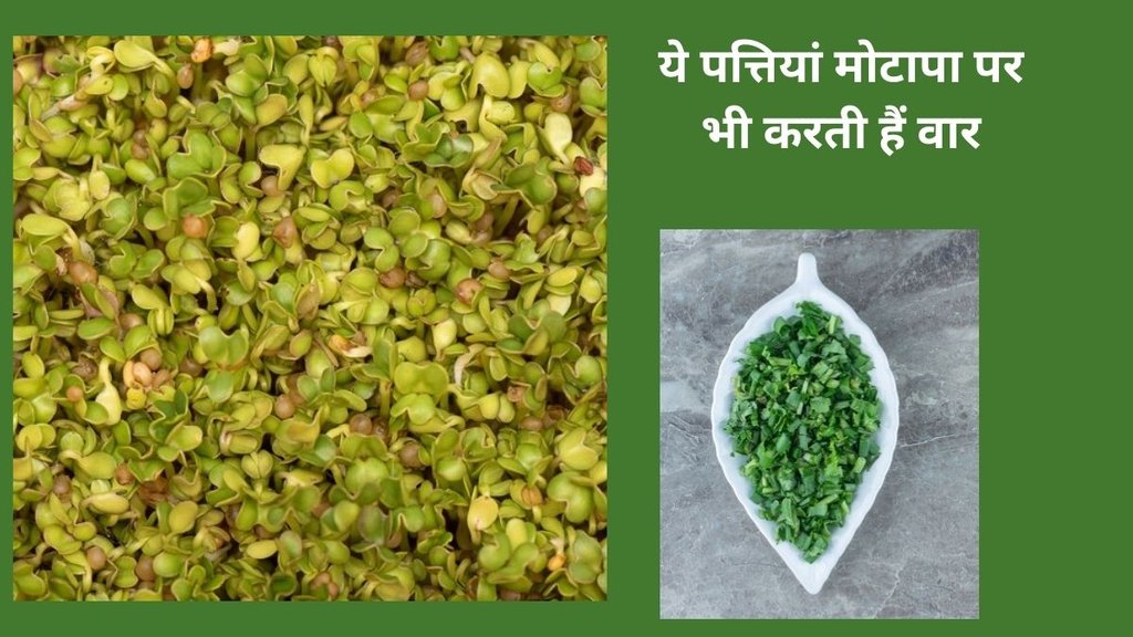 kasuri methi for diabetes control, kasuri methi for blood sugar control,kasuri methi for ways to use kasuri methi,tips to cook kasuri methi
