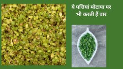 इन 4 क्रॉनिक बीमारियों का तोड़ हैं ये पत्तियां, खाने में इस तरह करें सेवन, बॉडी को मिल जाएंगे बेहतरीन फायदे