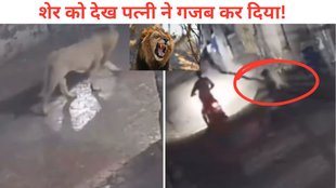 Lion Viral Video, Husband wife viral video