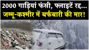 J&K First Snowfall: Jammu Kashmir ने ओढ़ी बर्फ की चादर, नए साल पर पर्यटकों का स्नोफॉल से होगा स्वागत