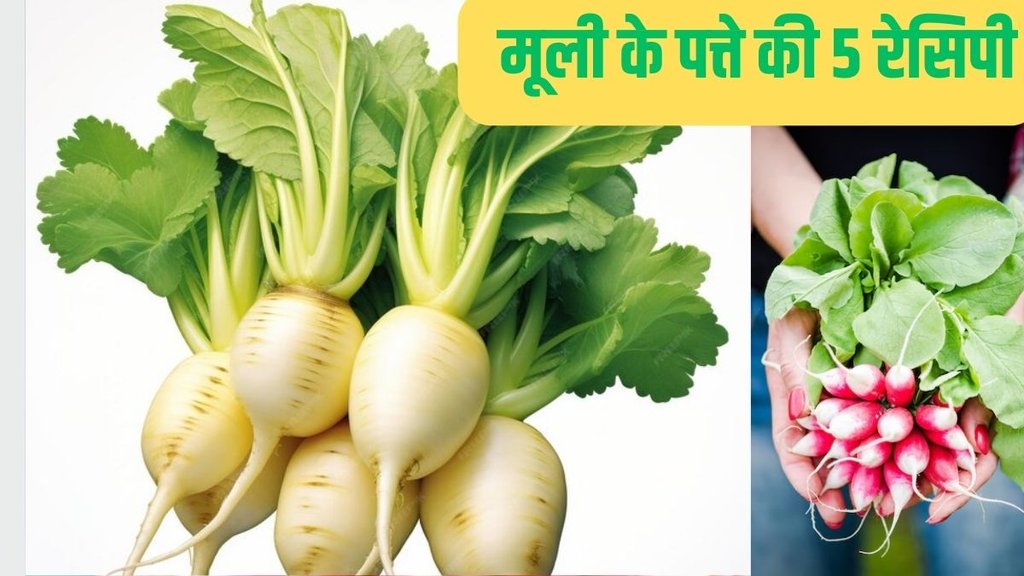 5 recipe of mooli ke patte