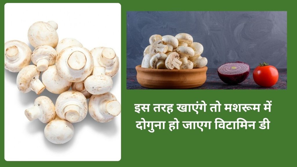 mushroom for improve vitamin D, HOW TO IMPROVE VITAMIN D deficiancy in body,Is mushroom good for vitamin D,How to raise vitamin D quickly,What organ is mushroom good for, How to identify poisonous mushroom,