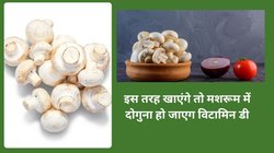 Vitamin D: मशरूम से मैक्सिमम फायदा लेना है तो इस खास तरीके से करें सेवन, बॉडी में लबालब हो भर जाएगा विटामिन डी