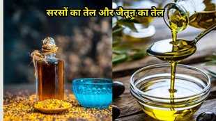 olive oil vs mustard oil: जैतून का तेल या सरसों का तेल के फायदे