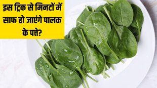 Food News । Palak Cleaning Tips । What is the best way to clean spinach