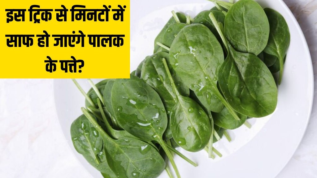Food News । Palak Cleaning Tips । What is the best way to clean spinach