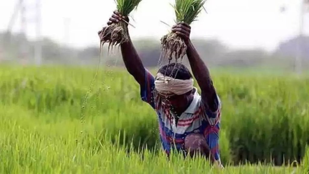 PM Kisan, PM Kisan 19th Installment Date, PM Kisan Installment