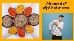 प्रोटीन का पावर हाउस हैं ये 5 दालें, रोजाना करें सेवन तो हड्डियां हो जाएंगी मजबूत, कौन सी दाल है Protein से भरपूर, चार्ट में देखिए