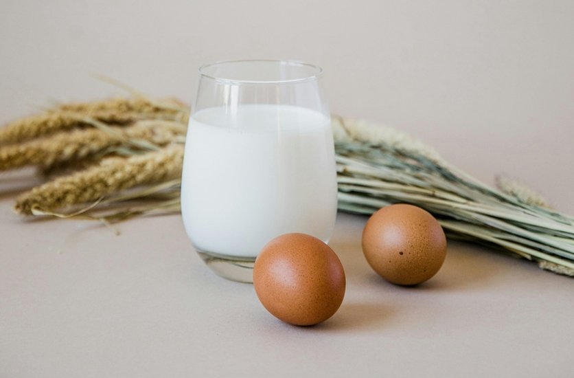 protein rich diet