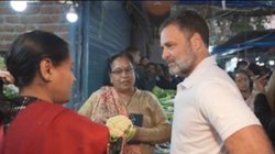 लहसुन कितने का है? जब सब्जी मंडी में दाम पता करने पहुंचे राहुल गांधी, शेयर किया VIDEO