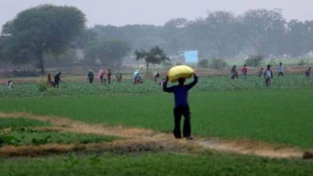 rajasthan farmer| compensation| farmer suicide