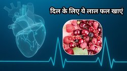 50 की उम्र में भी हार्ट रहेगा फिट, हेल्दी Heart के लिए खाएं ये 5 लाल फल, शरीर को मिलेंगे कमाल के फायदे