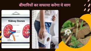 kidney stone , bathua saag in kidney stone , how to treat for kidney stone , bathua saag benefits , eat bathua saag in constipation
