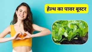 sarson ka saag ke fayde: सरसों से स्वास्थ्य को लाभ