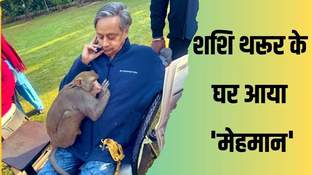 shashi tharoor | monkey| congress