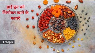 soaking dry fruits, water vs. milk, nutrition, digestion, protein, calcium, health benefits,Soaking dry fruits in water benefits,