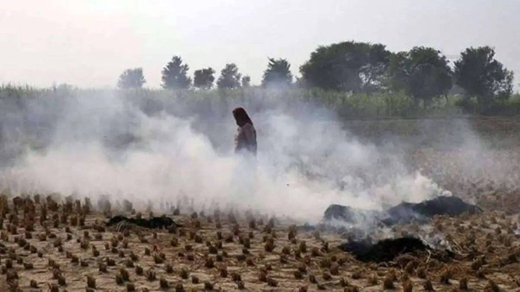 soil pollution