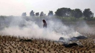 soil pollution