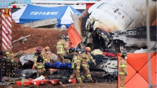 south korea plane crash news,