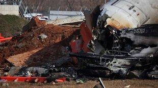 south korea plane crash news, south korea flight,