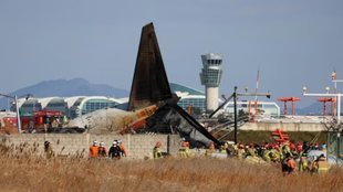south korea crash, south korea plane, plane crash,