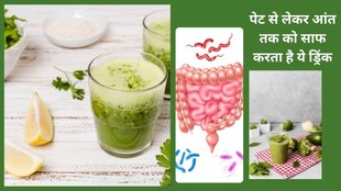 cucumber and spinach drink, cucumber and spinach drink for detox body, healthy diet, health awareness, What is the best drink to flush your system,How can I detox my body in 7 days