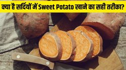 शकरकंद को छीलकर खाएं या छिलके सहित? एक्सपर्ट ने बताया सर्दियों में Sweet Potato खाने का सही तरीका