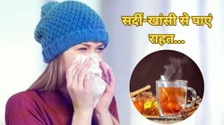 मौसम बदलते होने लगी सर्दी-खांसी? रात में पीकर सो जाएं इस पत्ते का काढ़ा, तेजी से बढ़ेगी इम्यूनिटी