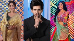 TV Adda: अलीशा परवीन से पहले राजन शाही के शो से रातों-रात बाहर हुए थे ये सेलेब्स, लिस्ट में शहजादा धामी का नाम भी शामिल