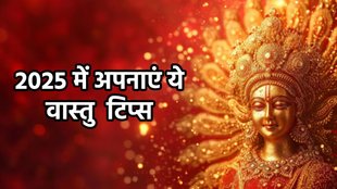 vastu tips, vastu tips for maa lakshmi, vastu tips for new year, New year 2025, things to do before 2025, naye saal pr kya karein, new year remedies, astro remedies in hindi, new year remedies in hindi, New Year Remedies,