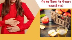 Apple Cider Vinegar: एसिडिटी है? सेब का सिरका खाते समय पहले इन बातों को जान लें, वरना होगी भयंकर परेशानी
