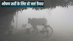 IMD Weather Forecast, Cold Wave, Aaj ka Mausam