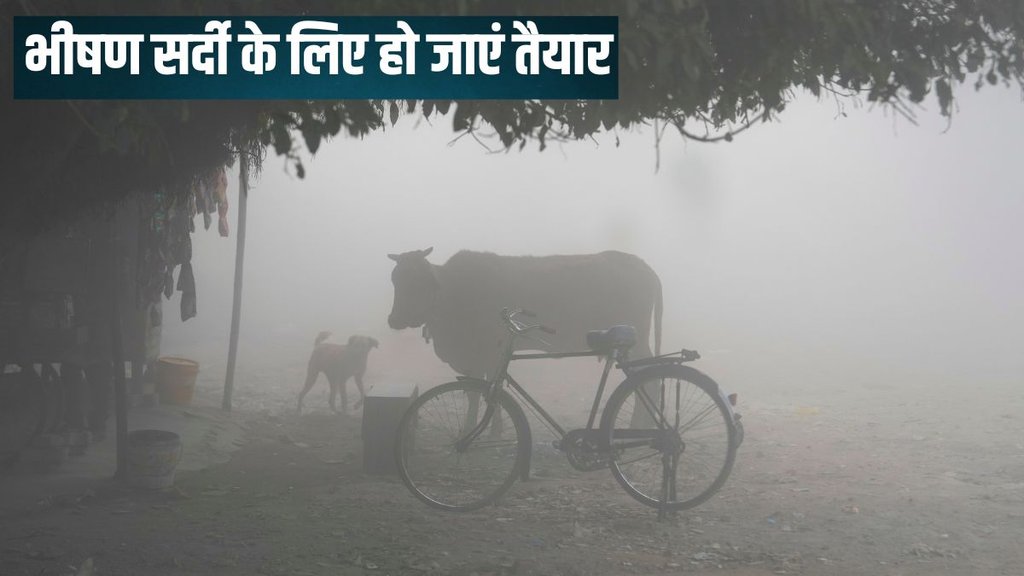 IMD Weather Forecast, Cold Wave, Aaj ka Mausam
