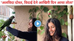 Pune viral video, woman emotional farewell to a parrot, parrot Mitthu and radhika bond