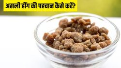 शुद्ध हींग की पहचान कैसे करें? इन आसान टिप्स से करें असली है या नकली