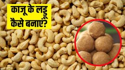 सर्दियों के लिए काजू के लड्डू कैसे बनाएं? बस 15 मिनट में हो जाएंगे तैयार, नोट कर लें आसान रेसिपी