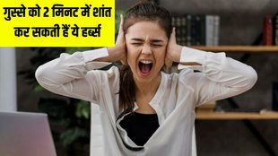 tips to manage anger । herbs to manage anger । Lifestyle news