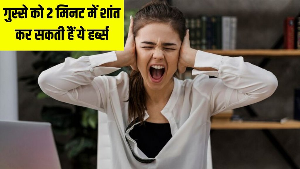 tips to manage anger । herbs to manage anger । Lifestyle news