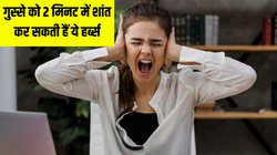 गुस्से को 2 मिनट में शांत कर सकती हैं ये हर्ब्स, बात-बात पर चिढ़ जाते हैं तो जान लें कैसे करें इस्तेमाल, खुश रहेगा मन