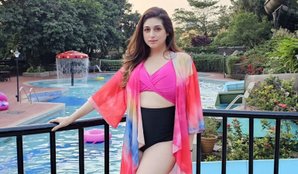 Bigg Boss 18 Controversial contestant