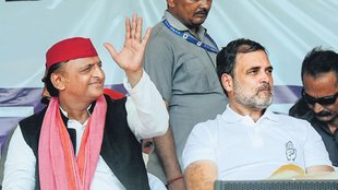 Akhilesh Yadav, Rahul Gandhi, samajwadi party, akhilesh yadav, bjp, congress,