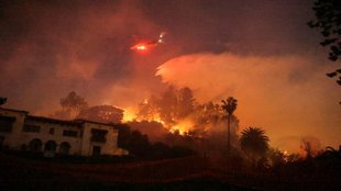 US Fire | Los Angeles fire