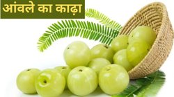 Amla Ka Kadha: आंवले का काढ़ा कैसे बनाएं? सफेद बाल वालों और मोटे लोगों के लिए तो औषधि है Amla