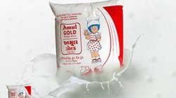 Amul Milk Price cut: गुड न्यूज! अमूल ने सस्ता कर दिया दूध, महंगाई से मिलेगी राहत, चेक करें लेटेस्ट रेट