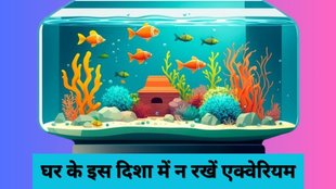 Aquarium Vastu Tips, Aquarium Vastu Shastra, Vastu Shastra, Vastu Tips, Ghar Ke Liye Vastu, Aquarium Tips, Best Direction for Aquarium,Vastu Tips in Hindi, Vastu Shastra in Hindi