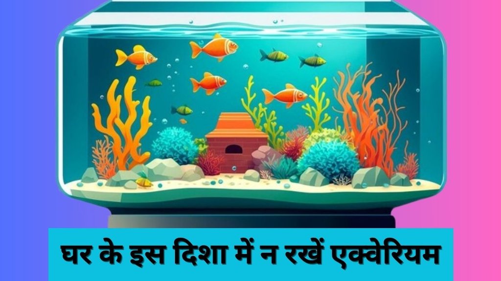 Aquarium Vastu Tips, Aquarium Vastu Shastra, Vastu Shastra, Vastu Tips, Ghar Ke Liye Vastu, Aquarium Tips, Best Direction for Aquarium,Vastu Tips in Hindi, Vastu Shastra in Hindi