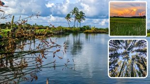 Best Tourist Places in Kerala। Tourist Places in Kerala। Top 10 Tourist Places In Kerala