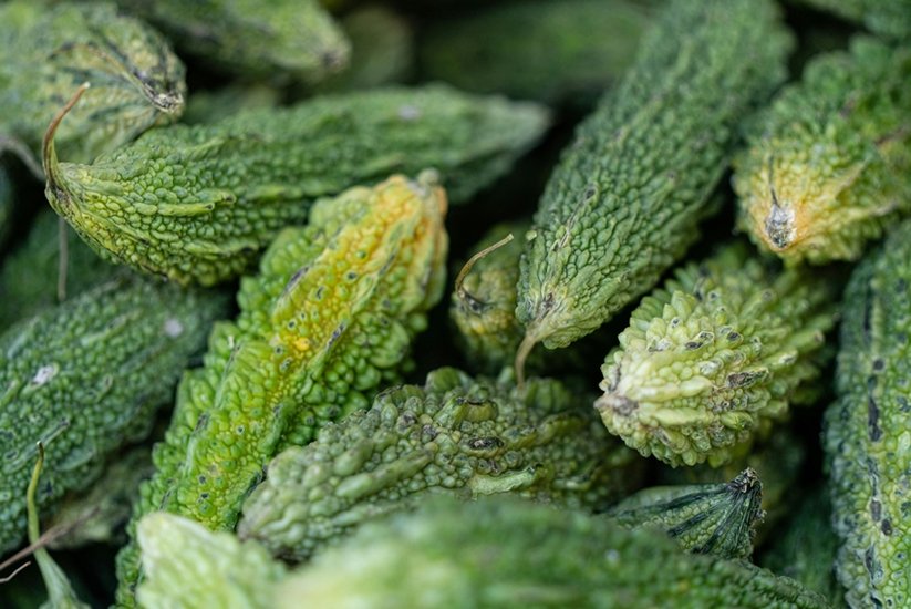 Bitter gourd
